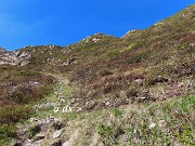 37 Prendere sentiero a dx